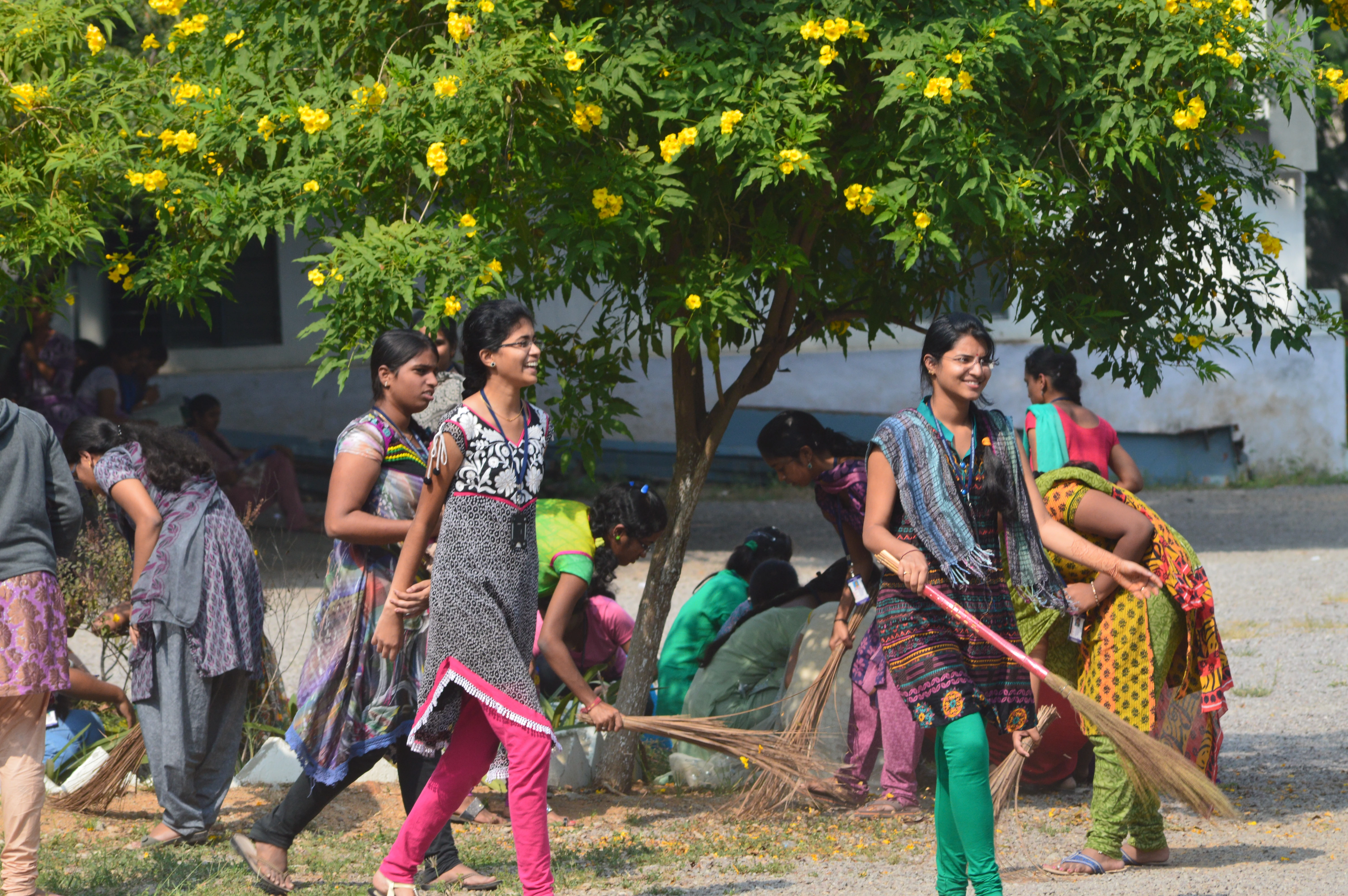 clean india green india